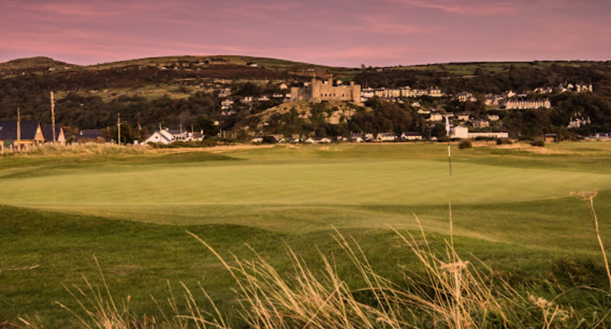 Royal St Davids GC 27-28 Jun 24